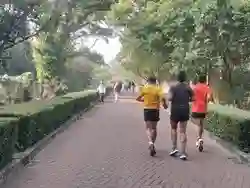 Pengelola Ragunan Berencana Menambah 'Jogging Track' Baru untuk Pengunjung